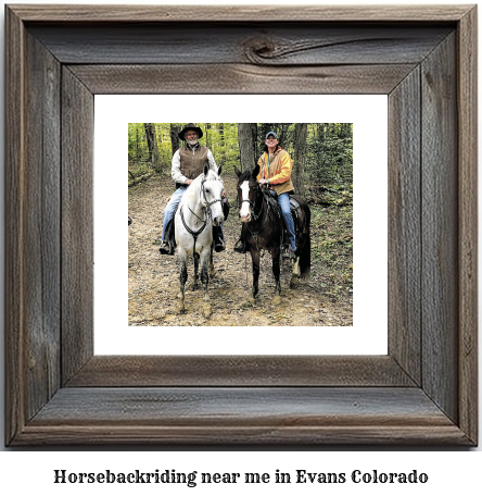 horseback riding near me in Evans, Colorado